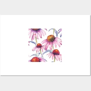 Watercolor Wildflower Purple Coneflower Pattern 2 Posters and Art